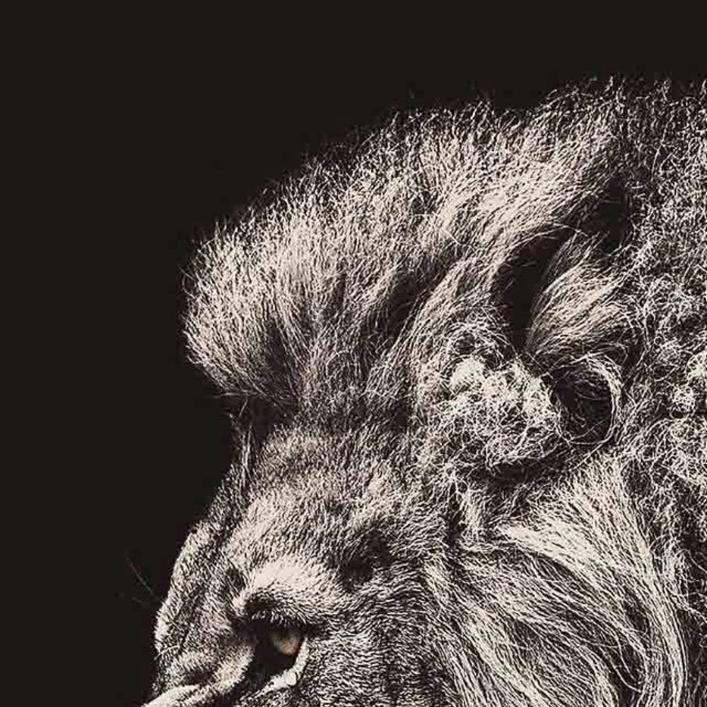 Meet your Posher, Pj